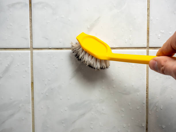Best Commercial Mold Removal  in Lithonia, GA