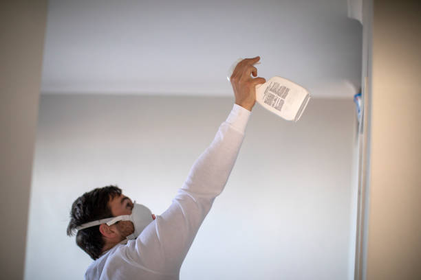 Best Local Mold Removal Service  in Lithonia, GA