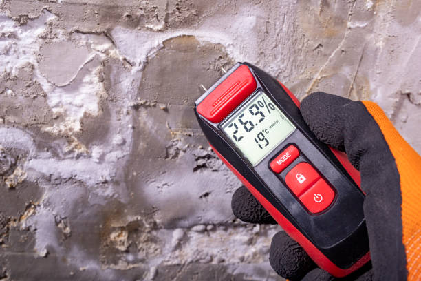 Best Residential Mold Removal  in Lithonia, GA