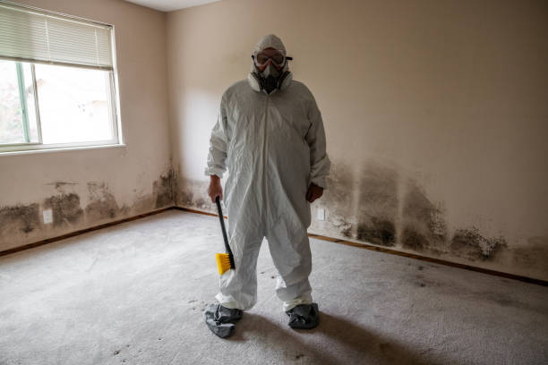 Home Mold Removal in Lithonia, GA